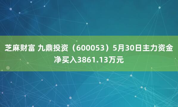 芝麻财富 九鼎投资（600053）5月30日主力资金净买入3861.13万元