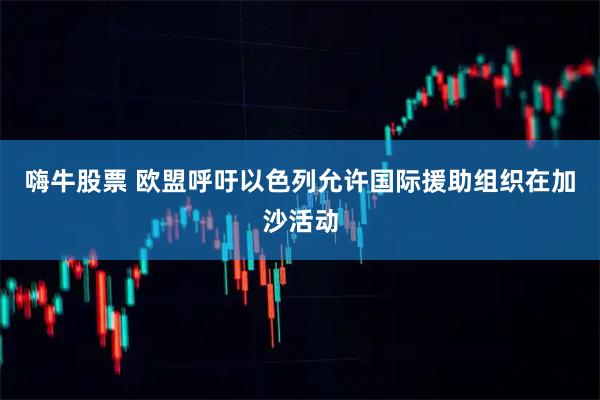 嗨牛股票 欧盟呼吁以色列允许国际援助组织在加沙活动