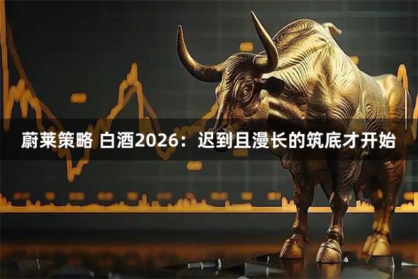 蔚莱策略 白酒2026：迟到且漫长的筑底才开始