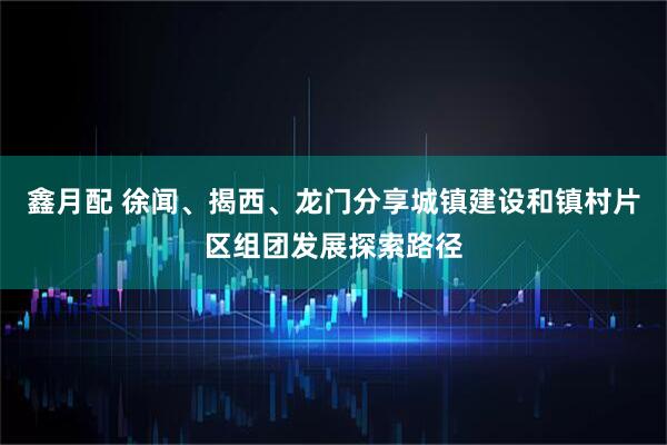 鑫月配 徐闻、揭西、龙门分享城镇建设和镇村片区组团发展探索路径